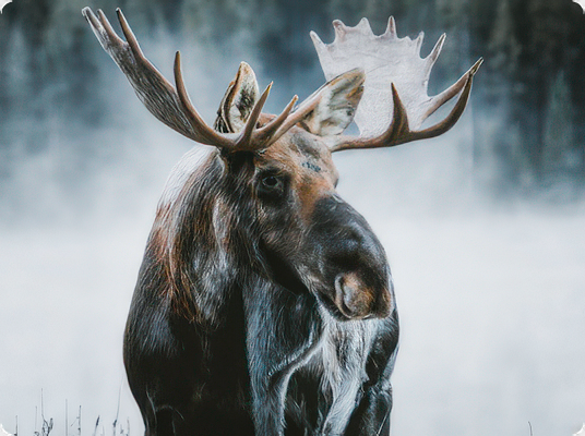 Banff Winter Adventure